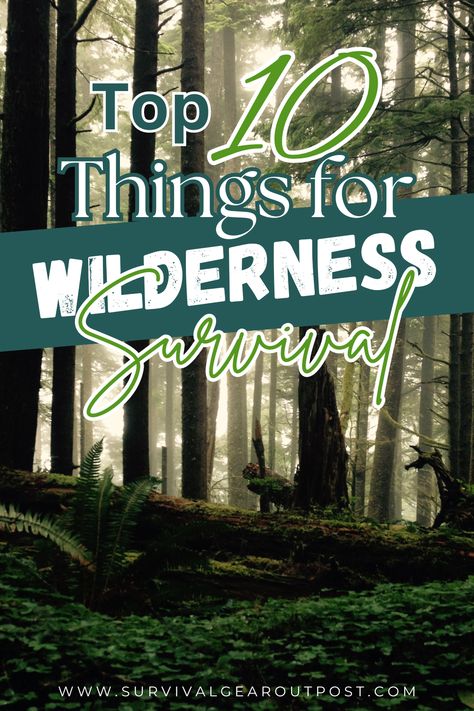 Top 10 Things to Bring for Wilderness Survival Flint And Steel, Survival Items, Surviving In The Wild, Water Purification System, Outdoor Essentials, Wilderness Survival, Survival Food, Water Purification, Survival Tools