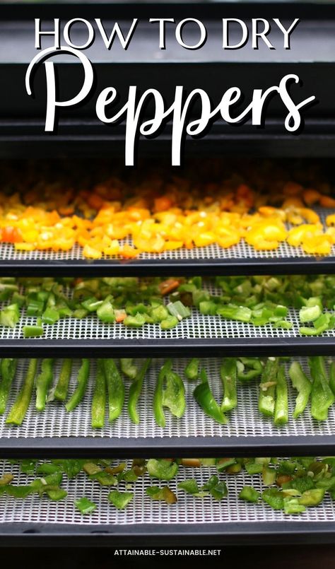 For fast flavor in recipes, dehydrated peppers can't be beat. You can use sweet peppers or hot peppers, store bought or home grown. Dehydrated Peppers Recipes, Dehydrate Bell Peppers, Dehydrating Hot Peppers In Dehydrator, How To Dehydrate Green Peppers, Dehydrate Green Peppers, Dehydrated Green Peppers, How To Dry Peppers For Spices, Green Peppers Canning Recipes, Dehydrated Hot Peppers