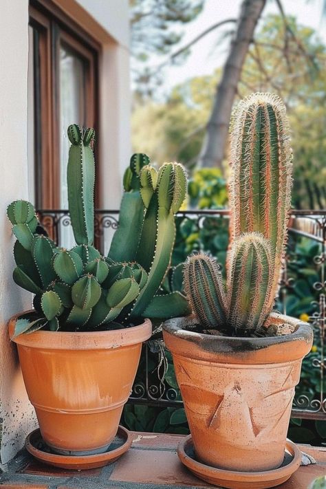 Pots In Garden, Plant Garden Ideas, Garden Ideas Decoration, Potted Plant Garden, Cactus Farm, Decoration Plants, Cactus House Plants, Plants For Garden, Cactus Plant Pots