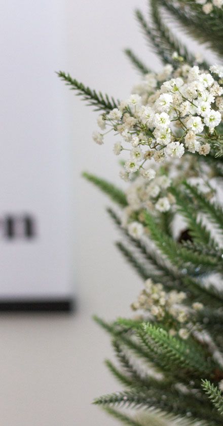 christmas tree decoration Christmas Tree With Gypsophila, Christmas Tree With Babysbreath, Gypsophila Christmas Tree, December Wedding Decorations, Unusual Christmas Trees, Bride Veil, December Wedding, Christmas Things, Small Christmas Trees