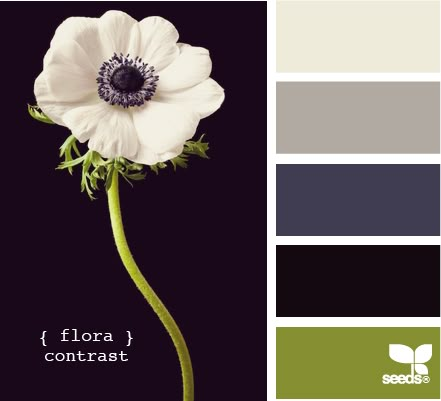 flora contrast Design Seed, Color Concept, Green And Gray, Color Palate, Design Seeds, Color Stories, Colour Schemes, Color Pallets, Color Swatches