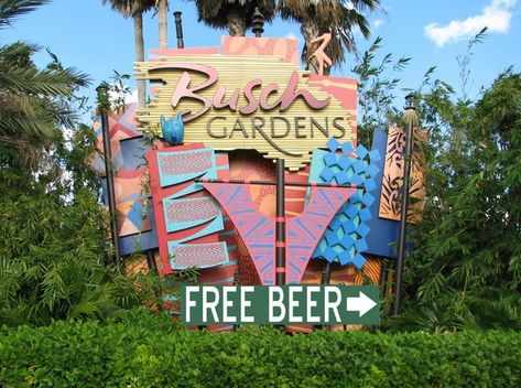 #BuckleBrigade Busch Gardens Offers Two Free Beers To Every Customer For All Of 2019 Busch Gardens Christmas Town, Them Park, Hobby Lobby Furniture, Busch Gardens Tampa Bay, Florida Theme Parks, Bush Garden, Park Signage, Busch Gardens Tampa, Hobby Trains