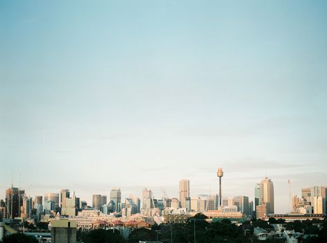 Travel Photography - Sydney | Lifestories Australia Film Photography, Sydney Australia Photography, Sydney Aesthetic City, Sydney Landscape, Sydney Film Photography, Film Cam, Sydney Streets, Sydney Australia Skyline, Shot On Film