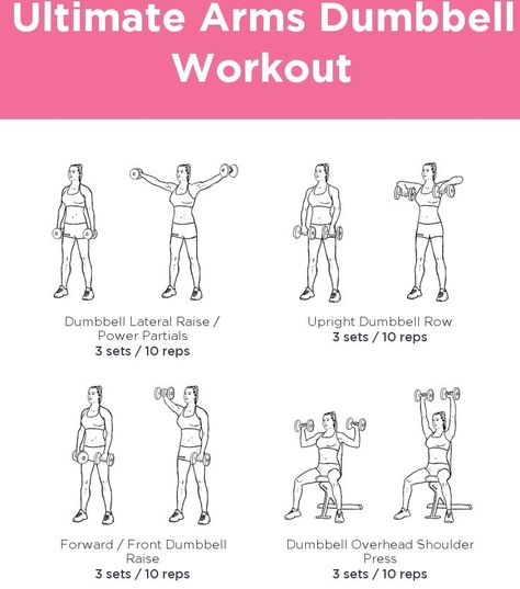 Small Dumbells Workout, Light Dumbell Workout Arms, Small Workout Space, Barbell Workout For Women, Warm Ups Before Workout, Pull Day Workout, Workout Gym Routine, Dumbell Workout, Barbell Workout