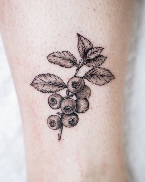 THIS TATTOO LOOKS BERRY NICE 🫐  TATTED BY @fragile_tattoo  Soho, Union Square, and Williamsburg  11AM-9PM 7 DAYS A/W🕘 WALK-INZ OR BOOK ONLINE..📕 TATTOOS & PIERCINGS, NO ATTITUDE, NO MISERABLE HOOPS TO JUMP THROUGH....🚫  WALK-INZ WELCOME OR BOOK ONLINE AT  ⚔️livebytheswordtattoo.com⚔️ . . . . #blueberry #tattoo #tattooartist #tattooinspo #nyctattooshop #unionsquare Huckleberry Branch Tattoo, Bilberry Tattoo, Saskatoon Berry Tattoo, Blueberries For Sal Tattoo, Wild Blackberry Tattoo, Blueberry Tattoo Black And White, Wild Blueberry Tattoo, Canning Tattoo, Blueberry Plant Tattoo