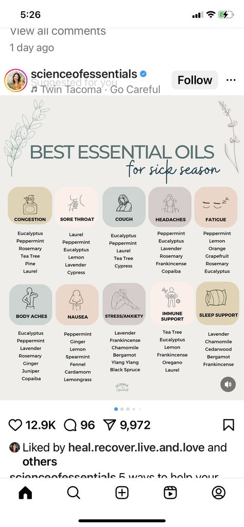 Good Essential Oil Combinations, Where To Put Essential Oils On Skin, Facial Oils For Combination Skin, Cleansing Oil For Combination Skin, Essential Oil Uses Chart Cheat Sheets, Essential Oils Uses Chart, Essential Oils For Beginners, Essential Oil Combos, Essential Oil Mixes