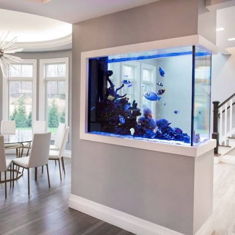 Aquarium In The Wall, Basement Fish Tank Ideas, Fish Tank In House Living Rooms, Home Office Aquarium, Custom Aquarium Ideas, Wall Fish Tank Ideas, Built In Fish Tank Wall, Modern Fish Tank Ideas Living Rooms, Fish Tank In Living Room