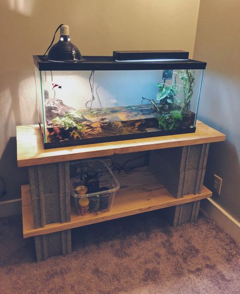 30-gallon tank on wood and cinder blocks. $20 at Home Depot! Cinder Block Fish Tank Stand, Reptile Tank Stand Diy, Cinder Block Aquarium Stand, 30 Gallon Fish Tank Ideas, Diy Tank Stand, Fish Tank Stand Ideas Diy, 20 Gallon Fish Tank Ideas, Diy Fish Tank Stand, Aquarium Stand Diy