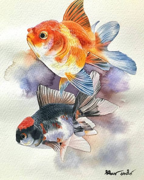 WATERCOLOR. ART. АКВАРЕЛЬ. on Instagram: “The choice is made by @yulianna_do Art by @kitipong_maksin_artist @cartel.watercolorists , put the tag #CARTEL_WATERCOLORISTS. . .…” Gold Fish Watercolor Painting, Gold Fish Watercolor, Watercolour Goldfish, Fishes Watercolor, Watercolour Fish, Fish Watercolor Painting, Gold Fish Painting, Goldfish Tattoo, Koi Fishes