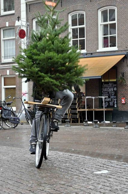 Someone goes Christmas tree shopping in Amsterdam last year. Amsterdam Christmas Market, Bike Christmas Decor, Christmas Tree Shopping, Bicycle Holiday, Amsterdam Bike, Netherlands Bicycle, Amsterdam Shopping, Dutch Style, Tree Home