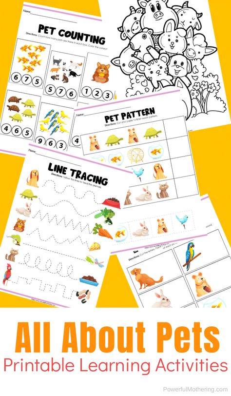 Pet Theme Preschool Activities Science, Preschool Creative Curriculum, Preschool Pet Activities, Free Preschool Activities, Pet Study, Pet Activities, Preschool Skills, Learning Activities For Preschoolers, Iphone Codes