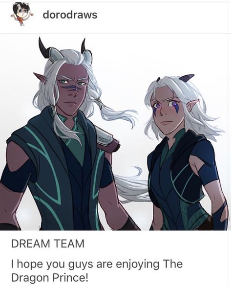 #TDP #TheDragonPrince #Runaan #Rayla #Callum Moonshadow Elves, Jelly Tart, Dragon Price, Moon Elf, Prince Dragon, The Dragon Prince, Dragon Princess, Prince Art, White Hair