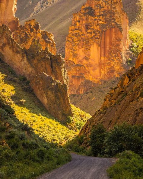 Owyhee Canyonlands, Oregon - by James Dustin Parsons Desert Scenes, Oregon Life, France Aesthetic, Stunning Nature, Navajo Nation, Breathtaking Places, Awesome Places, Autumn Scenery, Rock Formations