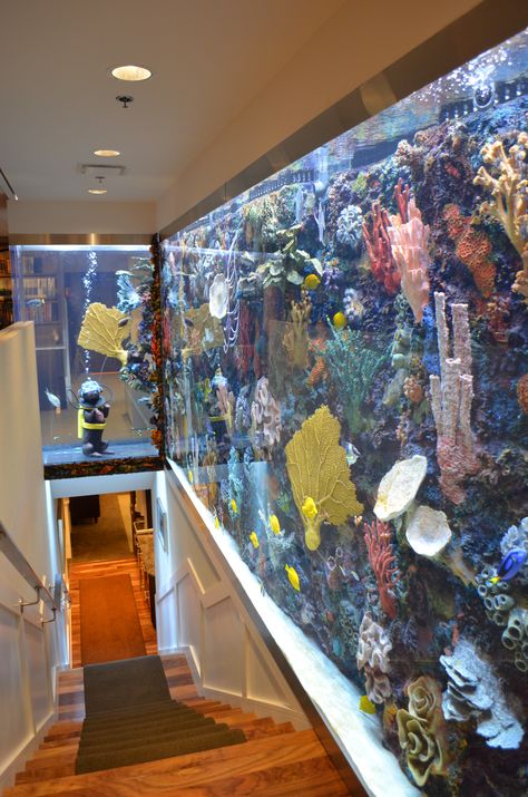 staircase aquarium Aquarium Staircase, Staircase Aquarium, Fish Tank Wall, Aquarium Architecture, Wall Aquarium, Amazing Aquariums, Cool Fish Tanks, Fish Tank Ideas, Staircase Remodel