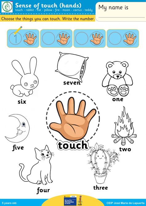 Five Senses Worksheet, Kindergarten Classroom Setup, 5 Senses Activities, Line Tracing Worksheets, Sensory Images, Nursery Worksheets, Senses Preschool, My Five Senses, Cvc Worksheets