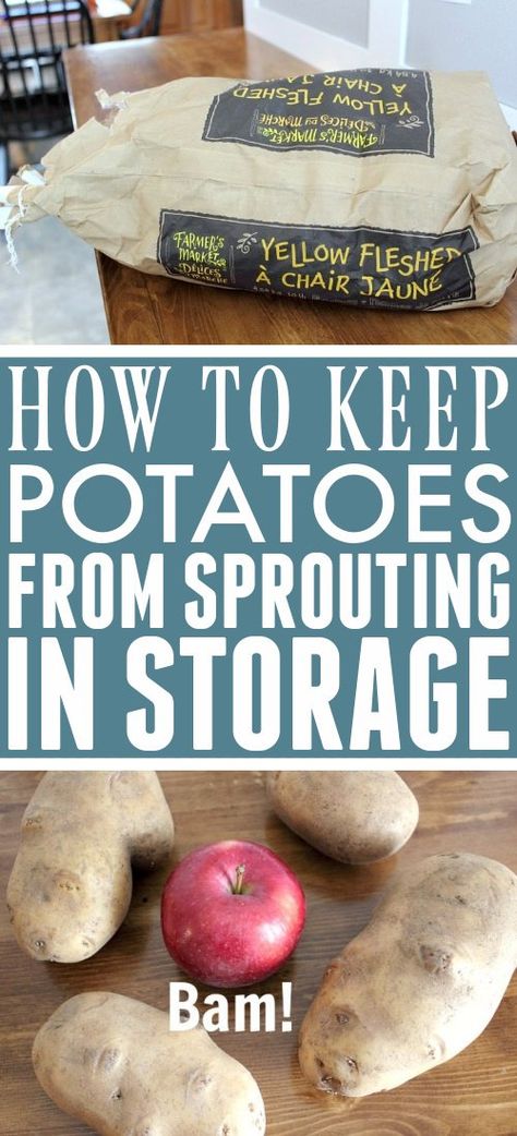 Preserve Potatoes, Survival Homestead, Fermenting Foods, Kitchen Organizing Ideas, Survival Food Storage, Potato Storage, Homestead Kitchen, Kitchen Tricks, Clean Mama