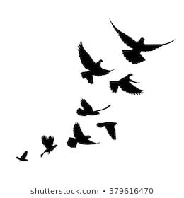 A flock of birds (pigeons) go up. Black silhouette on a white background. Pigeon Tattoo, Bird Silhouette Tattoos, Simple Bird Tattoo, Vogel Silhouette, 42 Tattoo, Vogel Tattoo, Black Bird Tattoo, Silhouette Tattoos, Flock Of Birds