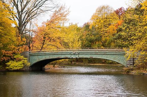 Oscar Wilde And Lord Alfred Douglas, Lord Alfred Douglas, Usc Gould Law, Frederick Douglass Quotes, Fall Foliage Map, Frederick Law Olmsted, Famous Trees, Frederick Law Olmsted Landscapes, Brooklyn Park