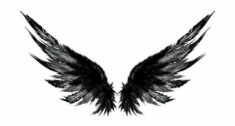 Raven Wing Tattoo Feminine, Crow Wing Tattoo, Dark Wings Tattoo, Black Wings Tattoo, Raven Wing Tattoo, Tattoo Ideas Png, Raven Wings Tattoo, Tattoos Wings, Wing Neck Tattoo