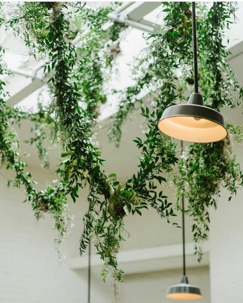 Floral-Foam-Free  Floristry on Instagram: “Garlands of ruscus and white jasmine (with roots attached) re-planted after the event at the client's home. Perfect @kittengraysonflowers 💚” Foliage Wedding Decor, Green Foliage Wedding, Foliage Garland, Urn Arrangements, Jasmine Plant, Elegant Bouquet, Foliage Wedding, White Jasmine, Plant Vase