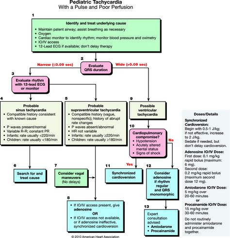 Pediatric Tachycardia Pals Algorithm, Pediatric Advanced Life Support, Respiratory Failure, Pediatric Medicine, Nursing Fun, Cardiopulmonary Resuscitation, Nurse Rock, Respiratory Therapy, Nursing Tips