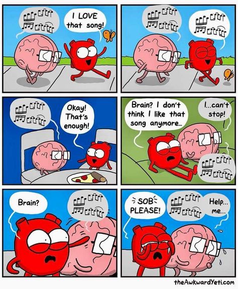 Awkward Yeti Comics, Brain Vs Heart, Heart And Brain Comic, Anatomy Humor, Heart Vs Brain, Lab Humor, Awkward Yeti, The Awkward Yeti, Heart And Brain