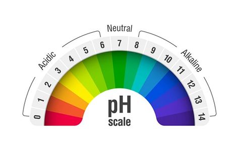 Ph Scale, Drinking Alkaline Water, Alkaline Water Benefits, Acid And Alkaline, Acid Base, Reverse Osmosis Water, Healing Waters, Ph Levels, Soil Ph