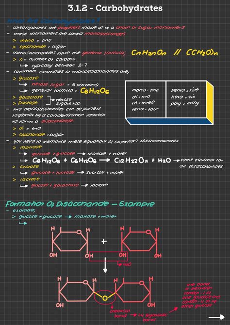 Carbohydrates Notes, Carbohydrates Biology, Biological Molecules, Biology Drawing, Revision Notes, Molecular Biology, Biochemistry, Biology, Writing