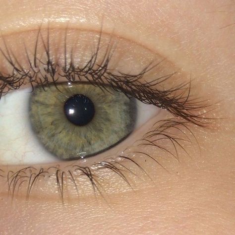 Green Eyes Aesthetic, Eye Facts, Beautiful Eyes Color, Dog Breeds List, Aesthetic Eyes, Instagram Ideas Photography, Hazel Eyes, Beauty Standards, Perfect Life