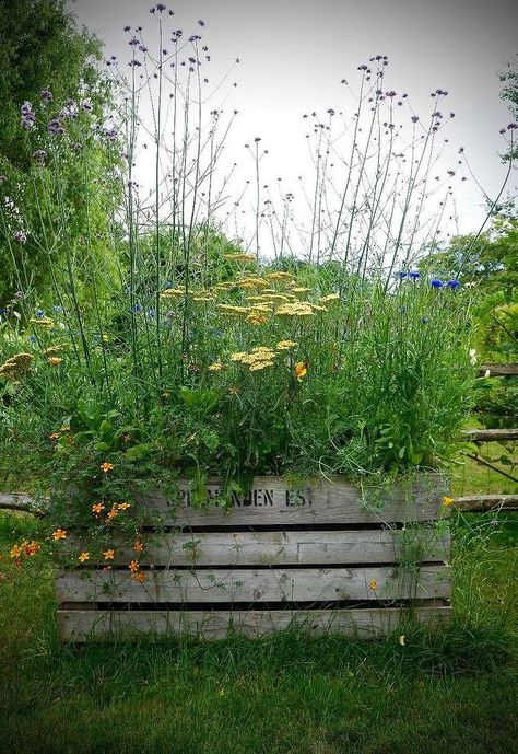 how to create a mini meadow