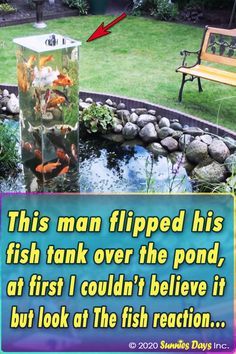 Very nice, interesting how the fishies seem to like it so much. #Fish #Tank #Pond #Decor #Backyard #Genius Indoor Pond Ideas, Self Cleaning Fish Tank, Outdoor Fish Tank, Koi Pond Backyard, Outdoor Fish Ponds, Pond Diy, Unique Fish Tanks, Above Ground Pond, Small Fish Pond