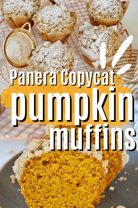 Panera Pumpkin Muffins, Panera Bread Pumpkin Muffins, Panera Pumpkin Muffin Recipe, Easy Pumpkin Muffin, Copycat Panera Bread, Best Pumpkin Muffins, Panera Copycat, Pumpkin Muffins Easy, Copycat Panera