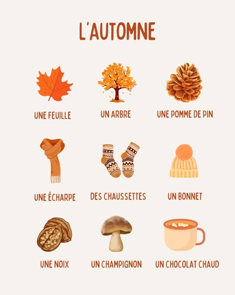 French Preschool Activities, Autumn Words, French Autumn, Words In French, French Study, French Basics, French Flashcards, Basic French Words, Study French