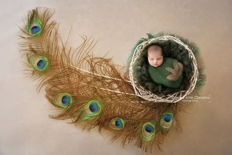 Prop Background, Baby Boy Newborn Photography, Basket Wreath, Monthly Baby Pictures, Newborn Digital Backdrop, Monthly Baby Photos, Baby Photoshoot Boy, Newborn Photography Poses, Baby Pic