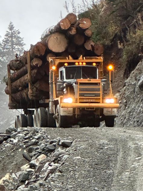 Logging Trucks, Heavy Haul, Logging Equipment, Old Trees, Bachelor Pad, Story Board, Big Rigs, Heavy Truck, Caterpillar