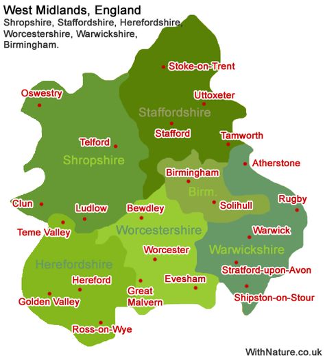 West Midlands map: Shropshire, Staffordshire, Herefordshire, Worchestershire, Warwickshire, Birmingham Petunia Evans, Telford Shropshire, Midlands England, Uk Map, Maps Of The World, Illustrated Maps, Area Map, Stratford Upon Avon, England Trip