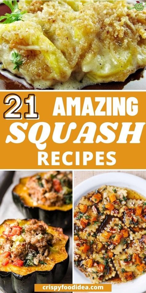 Here you get some squash recipes that are best for meal plan and breakfast. Easy Squash Recipes, Creamy Orzo Pasta, Sausage Stuffed Acorn Squash, Parmesan Spaghetti Squash, Butternut Squash Casserole, Spaghetti Squash Lasagna, Buttercup Squash, Winter Squash Recipes, Yellow Zucchini