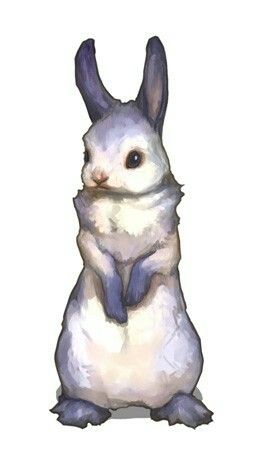 Dnd Pets, Bunny Artwork, Rabbit Drawing, Bunny Painting, Canine Art, Rabbit Art, Bunny Art, Fantasy Creatures Art, Anime Animals