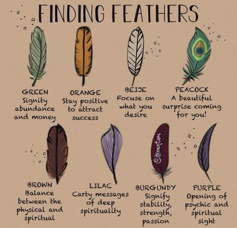 Weather Magick, Feather Color Meaning, Mythology Creatures, Finding Feathers, Feather Meaning, Witch Things, Animal Spirit Guides, Unique Meaning, Wiccan Magic