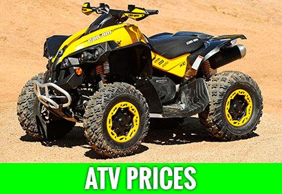 ATV Prices Peleton Cycle, Can Am Renegade, Atv Motor, Brooksville Florida, Spiritual Retreats, Quad Bikes, Spiritual Travel, Dune Buggies, Atv Riding