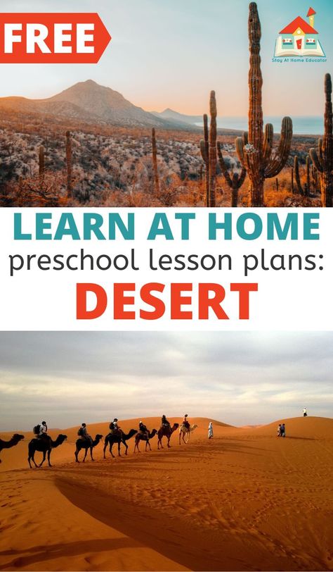 Grab these free desert preschool lesson plans filled with academic activities including math, science, art, social-emotional, and literacy. Perfect for use with homeschool preschool or classroom learning. Snag these free desert preschool lesson plans and make planning your desert unit a breeze! Desert Homeschool Unit, Desert Theme Preschool Activities, Desert Habitat Preschool, Preschool Desert Theme, Desert Science Experiments For Kids, Preschool Desert Activities, Desert Unit Study, Desert Activities For Preschool, Desert Crafts Preschool