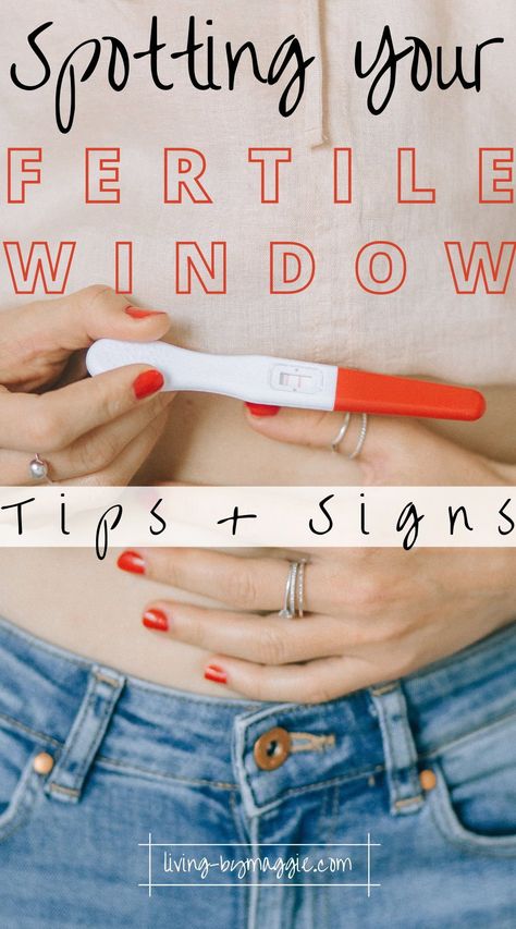 Fertile Window Chart, Fertility Window, Menstrual Cycle Chart, Basal Body Temperature Chart, Cycle Chart, Fertility Cycle, Fertile Window, Ovulation Tracking, Fertility Tips