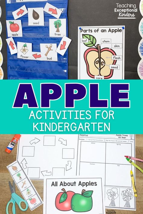 A variety of apple themed activities for kindergarten Apple Learning Activities, Apple Activities Kindergarten, Fun Kindergarten Activities, Apple Theme Activities, Apple Unit Study, Apple Kindergarten, Kindergarten Names, Apple Life Cycle, Literature Activities