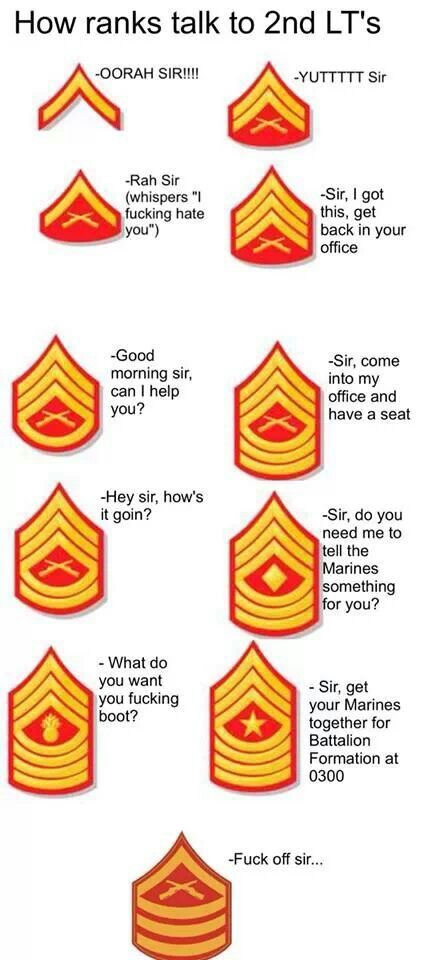 Rotc Memes, Marine Memes, Usmc Humor, Women Marines, Military Life Quotes, Marines Funny, Marine Corps Humor, Marines Corps, Usmc Quotes