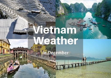 Vietnam is an ideal destination for your escape in such occasions like Christmas and New Year. So let’s find out Vietnam weather in December Vietnam In December, December Weather, Hoi An Old Town, Vietnam Ho Chi Minh, Danang Vietnam, Vietnam Trip, Beautiful Vietnam, Vietnam Tours, Luxury Honeymoon