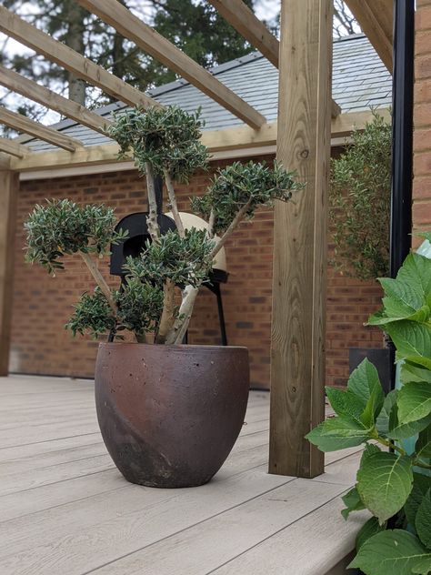 Limed Oak Deck With Pergola | Shade Landscapes Millboard Decking, Shade Landscaping, Timber Pergola, Limed Oak, Deck With Pergola, Timber Deck, Garden Maintenance, Deck Garden, Pergola Shade