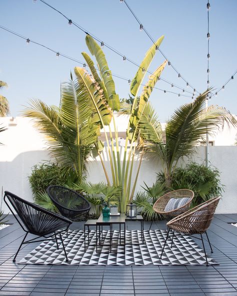 Design Per Patio, Tropical Patio, Modern Gardens, Concrete Patios, Rooftop Terrace Design, Outdoor Room, Patio Plants, Terrace Design, Rooftop Garden