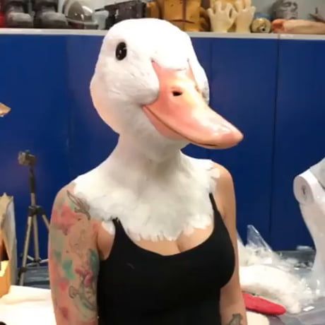 Look at this strangely terrifying goose mask Goose Mask, Duck Mask, Howard The Duck, Duck Face, Duck Tales, Instagram Makeup, Golden Dog, Best Funny Pictures, Bird Watching