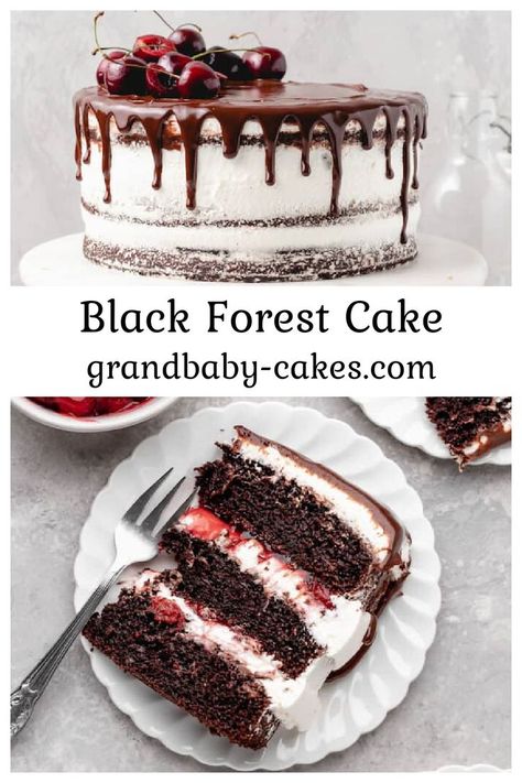 Black Forest Cake is a wonderfully rich German dessert made with layers of tender, moist chocolate cake, tart yet sweet cherry filling, and fresh whipped cream. This cake is a holiday showstopper or a Sunday supper dessert classic. Small Black Forest Cake, Black Forest Cake Recipe Traditional, Traditional Black Forest Cake, Strawberry Black Forest Cake, German Black Forest Cake Recipe, Chocolate Forest Cake, Blackforest Cake Recipes Easy, Chocolate And Cherry Cake, Best Black Forest Cake Recipe