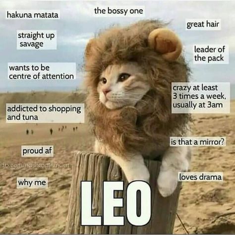 2,793 Likes, 42 Comments - zodiac signs (@zodiacsigns520) on Instagram About Leo, Leo Zodiac Quotes, Leo Quotes, Leo Zodiac Facts, Leo Girl, Leo Traits, Astrology Leo, Leo Lion, Leo Love